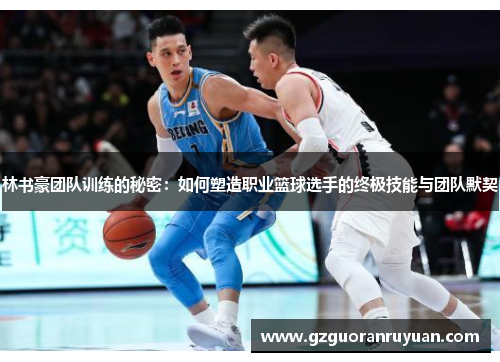 林书豪团队训练的秘密：如何塑造职业篮球选手的终极技能与团队默契