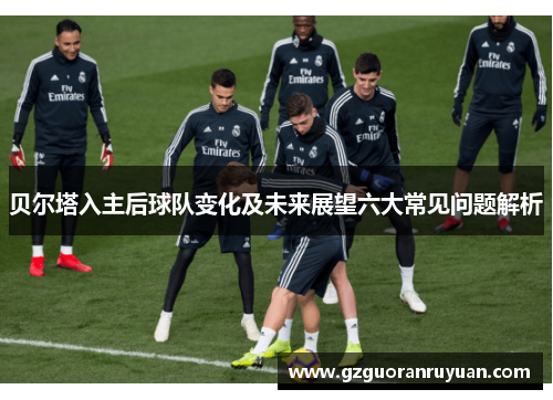 贝尔塔入主后球队变化及未来展望六大常见问题解析