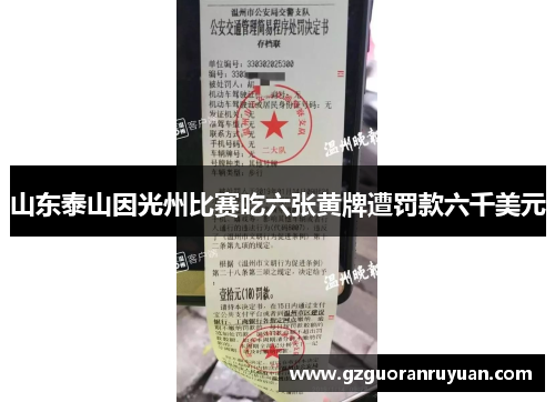 山东泰山因光州比赛吃六张黄牌遭罚款六千美元